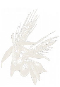 grano-olio-205x300 grano-olio-205x300